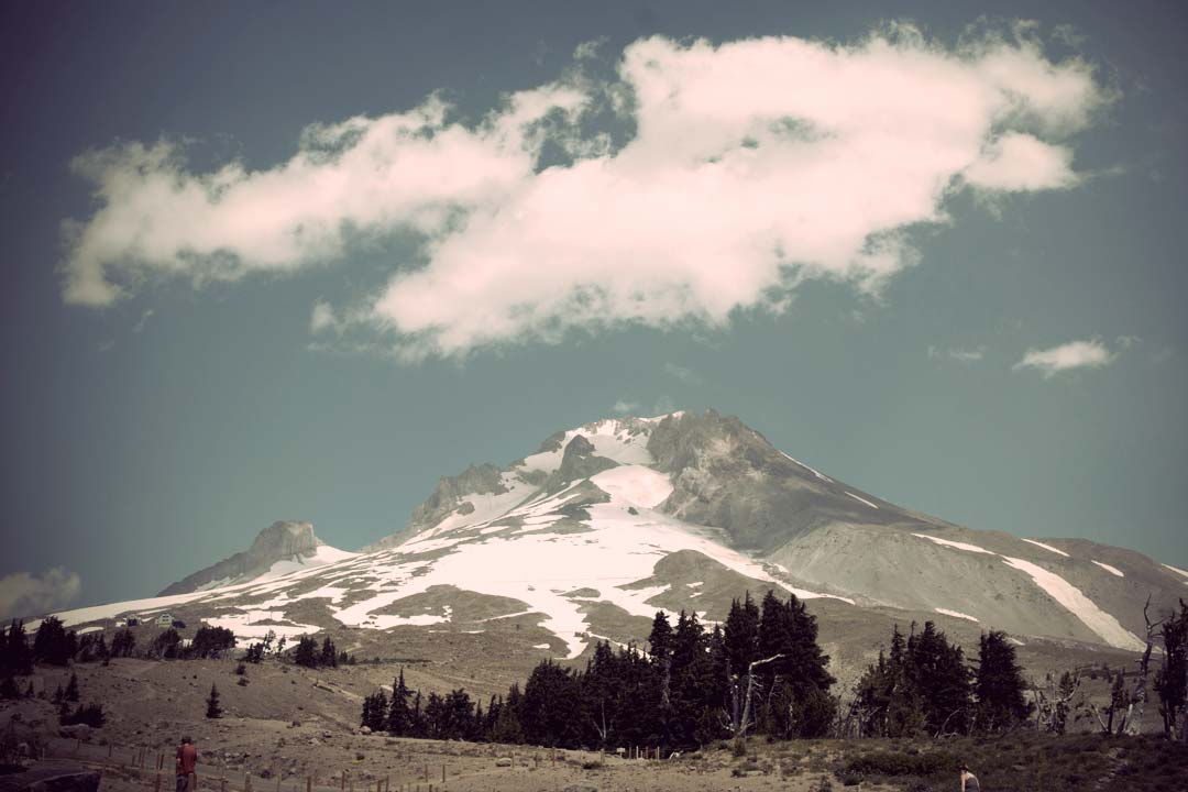 Erklimmen Sie mit uns die Spitze